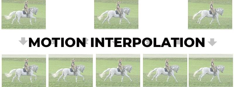 motion interpolation