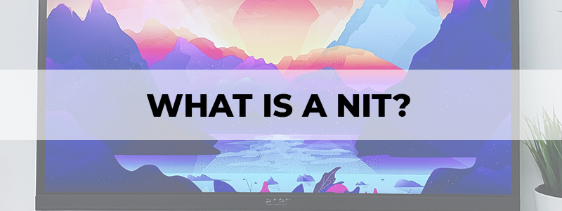 what is a nit